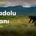 Anadolu İnsanı | Sevgi (13.Bölüm) | TRT Belgesel